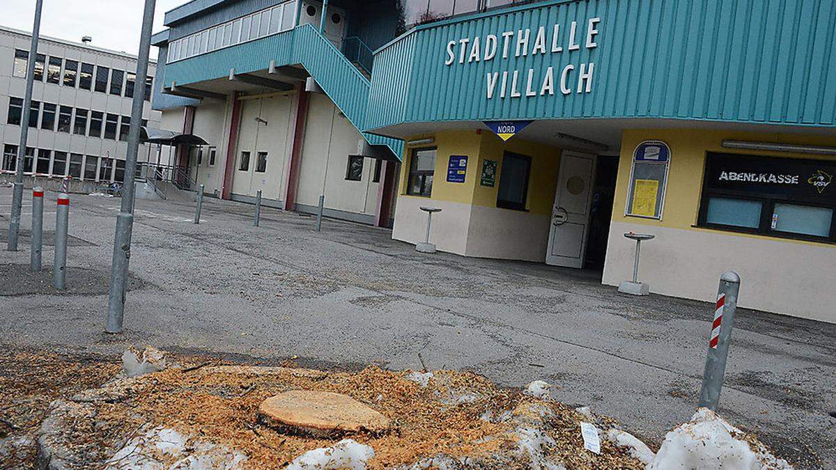 Freie Sicht auf die Stadthalle: Am Dienstag wurden die Bäume umgeschnitten