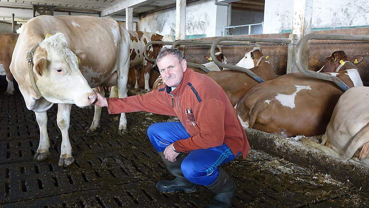 Franz Lendl versteigert am Samstag seine Milchkühe