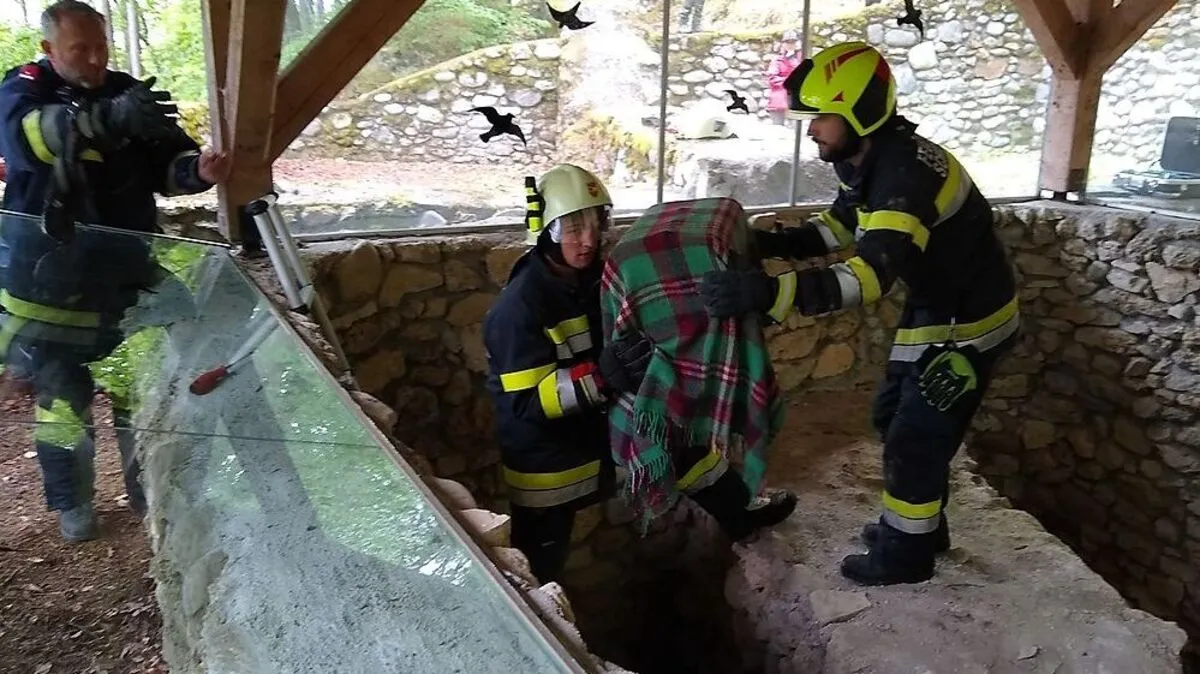 Mit einer Decke und einem Käfig wurde der Kauz von der FF Schiefling am Kathreinkogel eingefangen