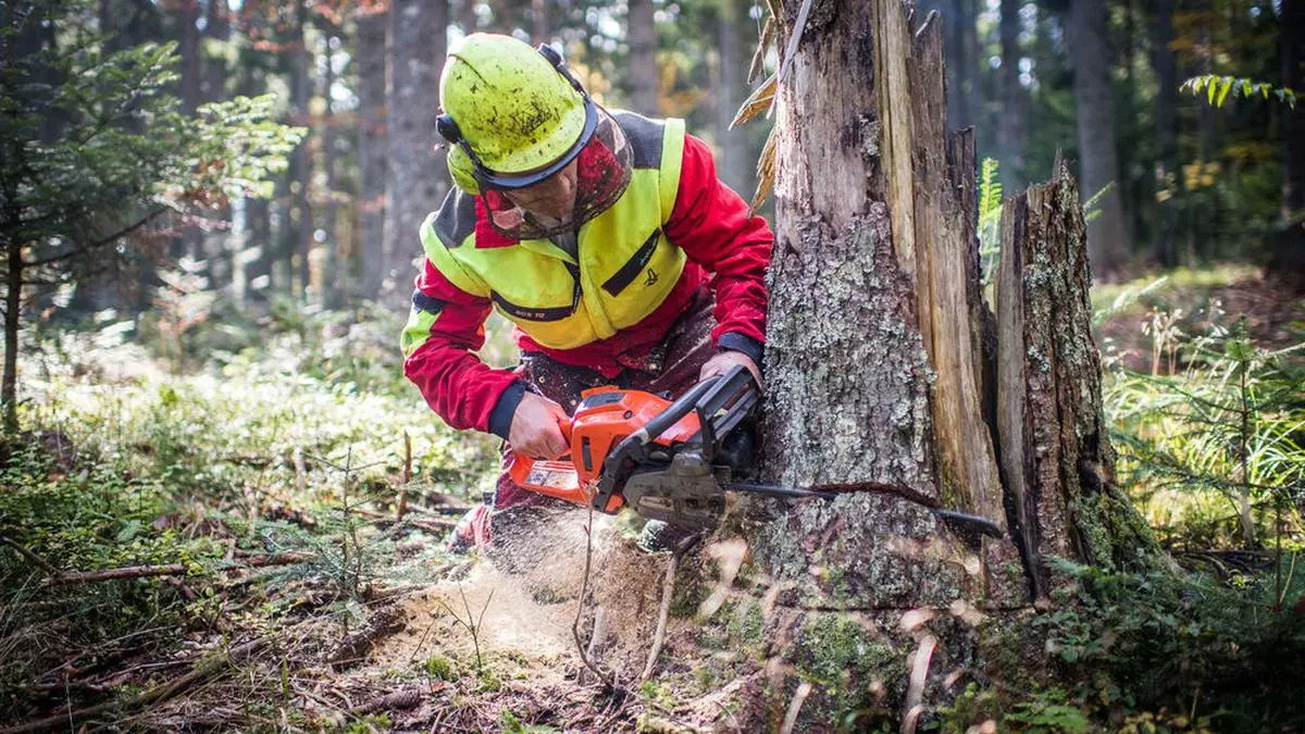 Sujet, Feature, Forstunfall, Wald, pro Holz, Reinischkogel, Klugbauer, Familie Klug am 03.10.2014
