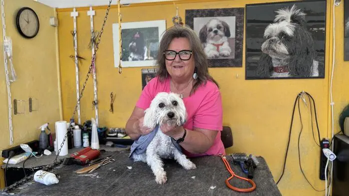 Eine Frau mit Brille steht in einem Hundesalon und trocknet einen weißen Hund ab