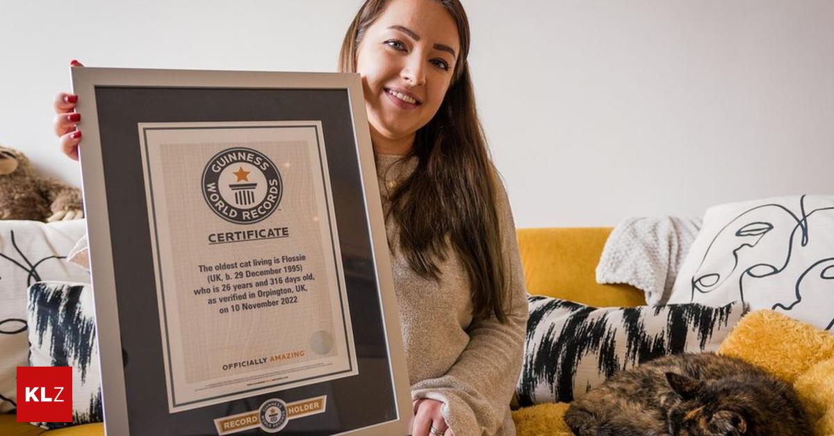27 Jahre alt Älteste Katze der Welt ist genauso alt wie neues Frauchen