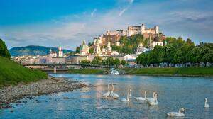 Salzburg aus der Schwan-Perspektive