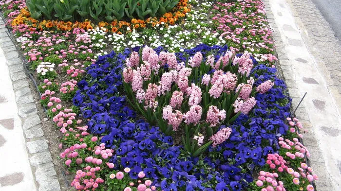 Beim Blumenschmuckbewerb 2015 gab es