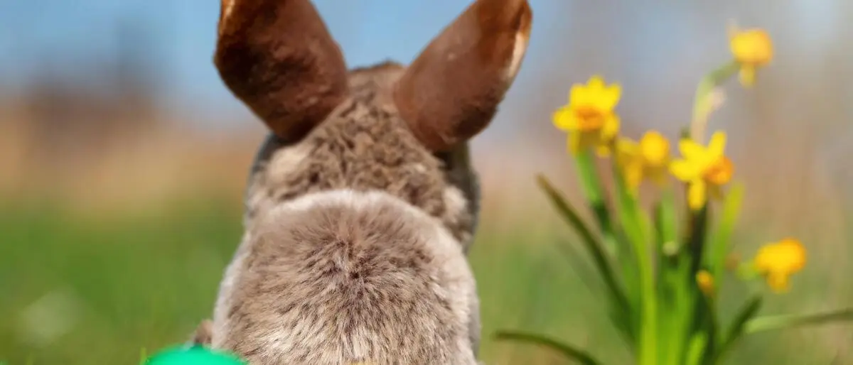 Der Osterhase bringt diesmal auch herrliches Wetter im Bezirk Leoben