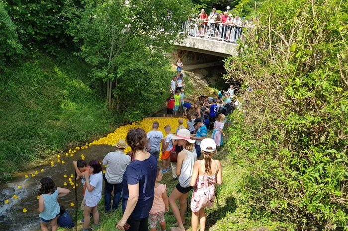 6. Entenrennen in Eisbach
