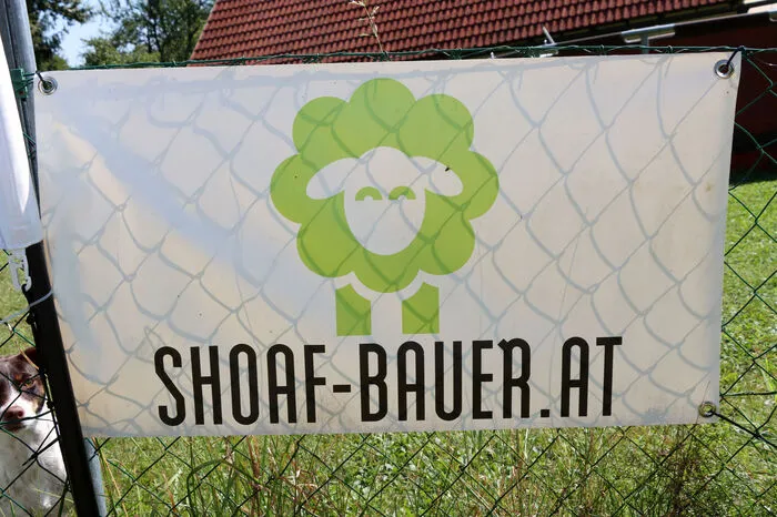 Bitte klicken Sie sich durch die Bilder!
