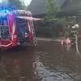 In Wiener Neustadt stand die Feuerwehr im Dauereinsatz