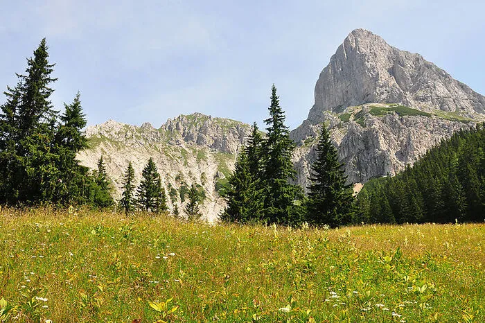 Kalbling. Wenn man vor dem Kalbling steht, ist es kaum zu glauben, dass man hier sogar mit (etwas älteren) Kindern hinaufgehen kann. Von der Oberst-Klinke-Hütte führt der Weg 601 zum Kalblinggatterl, wo wir dem Pfad 655 erst über eine Almwiese und dann in Serpentinen durch einen Latschenwaldgürtel folgen.