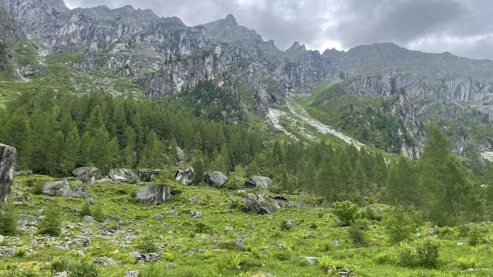 Man sieht Berge und Almen
