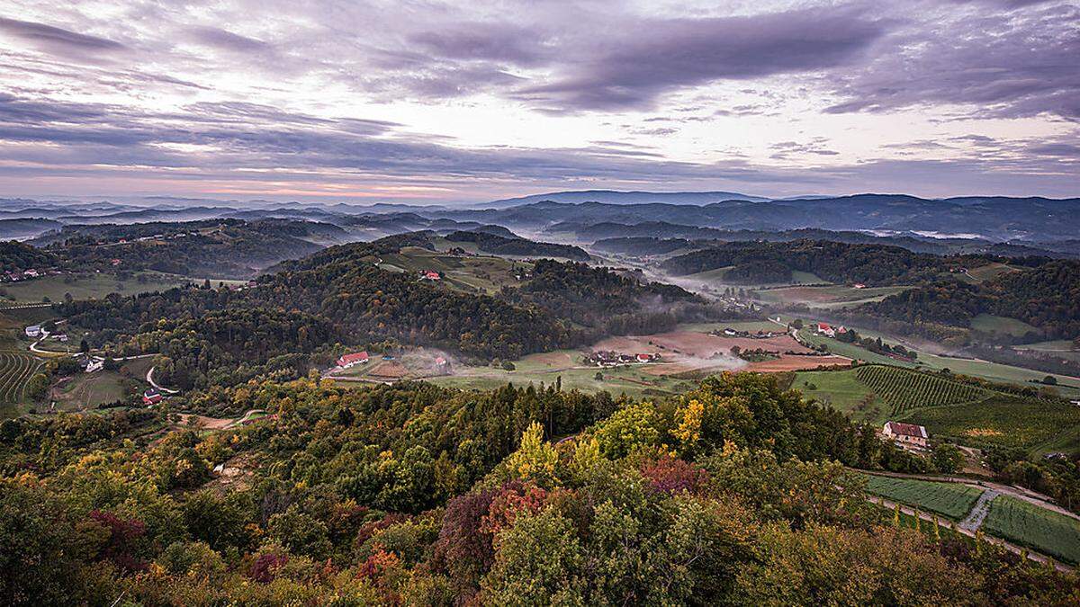 Die Südsteiermark ist eine der ländlichen Regionen, die vom neu befeuerten Trend zum Landleben profitieren können 