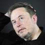 Elon Musk und Tesla in der Krise: Analysten zweifeln erstmals