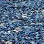 Die blauen Quallen „Velella velella“ wurden nach heftigen Winden an den Strand der mallorquinischen Hafenstadt Sóller geschwemmt (Sujetbild)