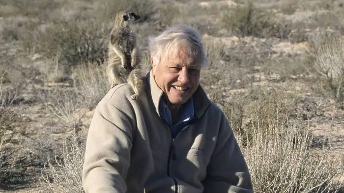 Sir David Attenborough mit Erdmännchen bei Dreharbeiten in der Kalahari 2002
