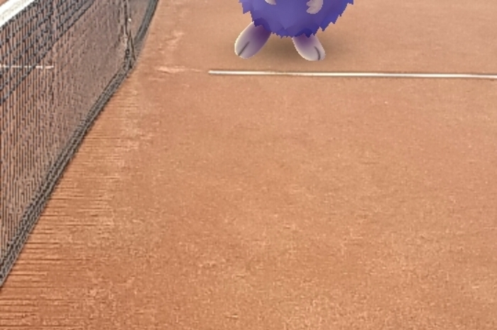 Am Tennisplatz in Irdning