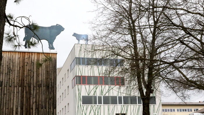Die Landwirtschaftliche Fachschule (LFS) Althofen war am Wochenende Austragungsort des „Bezirks-4er-Cups“ der Landjugend. 