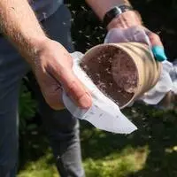 Die gezüchteten Tigermücken schwärmten am Dienstag aus. Da es sich um Männchen handelt, stechen sie nicht.