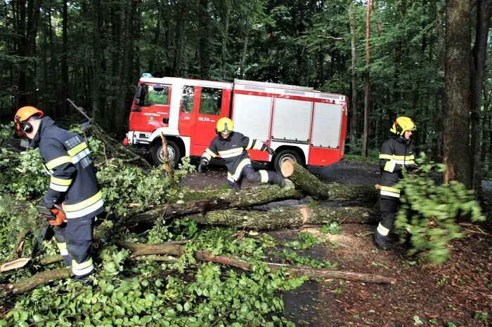 Auch am Rosenberg in der Gemeinde Straden riss der Sturm eine dicke Eiche ab und verlegte die Gemeindestraße. Im Einsatz stand die Freiwillige Feuerwehr Dirnbach mit fünf Mitgliedern