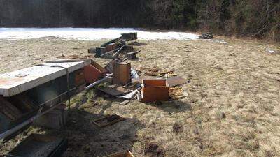 Der Bär war wieder unterwegs: In Ferlach wurden vor zwei Tagen 16 Bienenstöcke geplündert (Bild) - nun wieder zwei