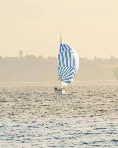 Zwei- bis dreimal im Jahr kommt das Phänomen am Bodensee vor