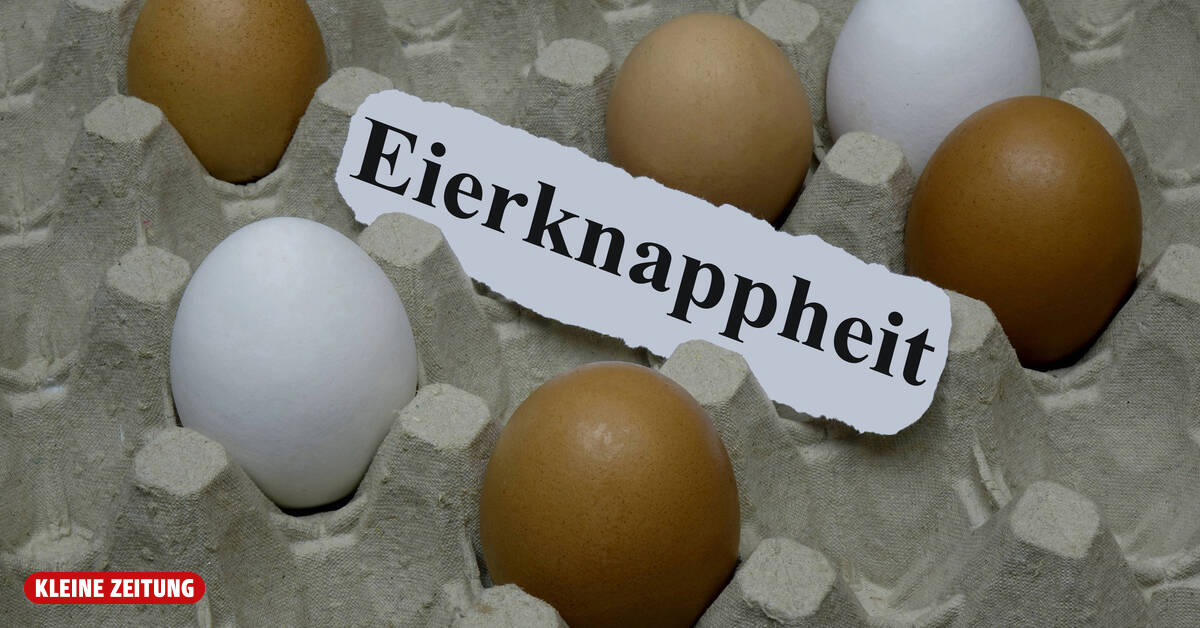 Egg shortage in supermarkets: Here's what's behind it