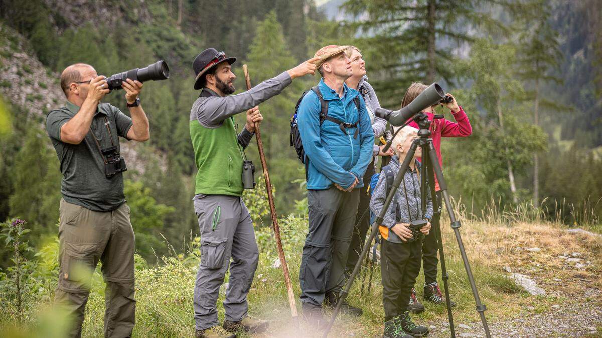 Wildnis-Tour in den Hohen Tauern 