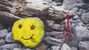Still life on the theme of the positive (Photo by Philippe TURPIN / Photononstop / Photononstop via AFP)