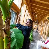 Alexandra Margarita Sacher Santana im Wintergarten, wo Bananenstauden und andere Pflanzen wachsen