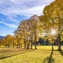 Die nächsten Tage werden in der Steiermark herbstlich golden