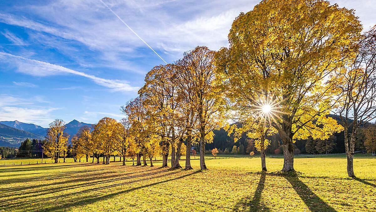 Die nächsten Tage werden in der Steiermark herbstlich golden