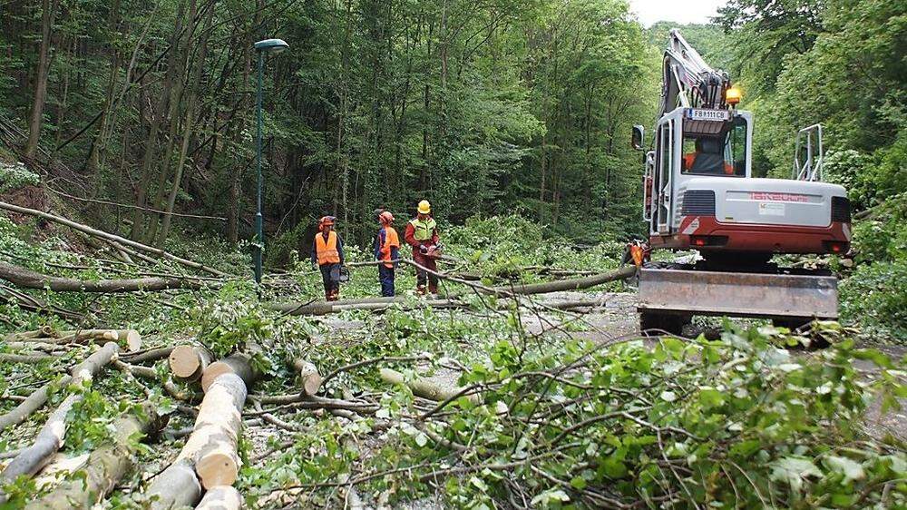 Die B66 in der Klausen kurz vor Bad Gleichenberg war Mitte Mai unter umgestürzten Bäumen regelrecht verschwunden
