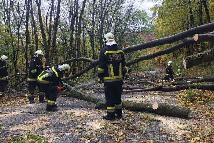 Kräfte der Feuerwehr im Einsatz wegen des Sturmes in Klosterneuburg.