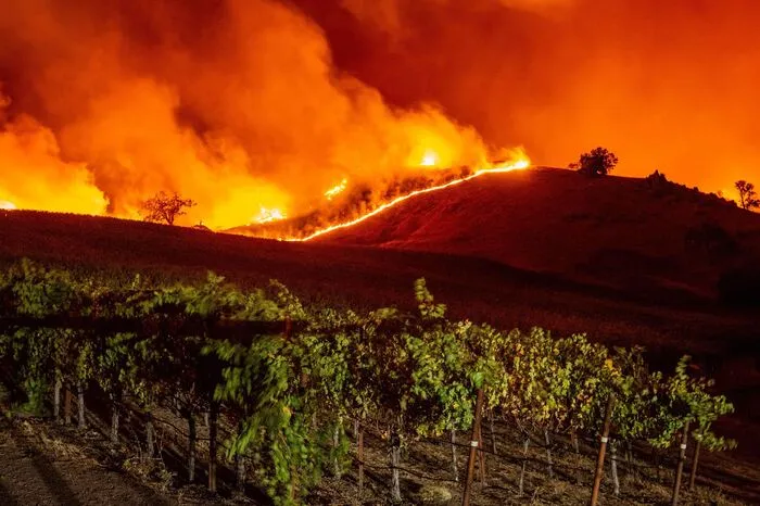 Im Bezirk Sonoma - bekannt vor allem als Weinbaugebiet - wurde deshalb für Hunderte Häuser eine verpflichtende Evakuierung angeordnet, berichteten örtliche Medien. Die Ursache des Brandes war zunächst noch unklar.