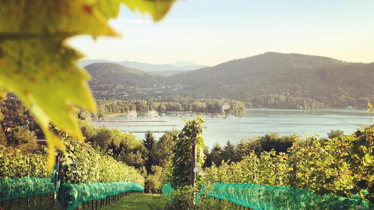 Entlang der gesamten Strecke gibt es wunderbare Ausblicke auf den Wörthersee