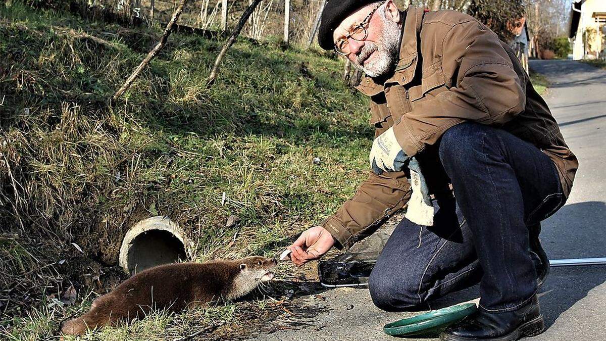 Fischotter Resi mit dem Biologen Joachim Tajmel aus Jennersdorf