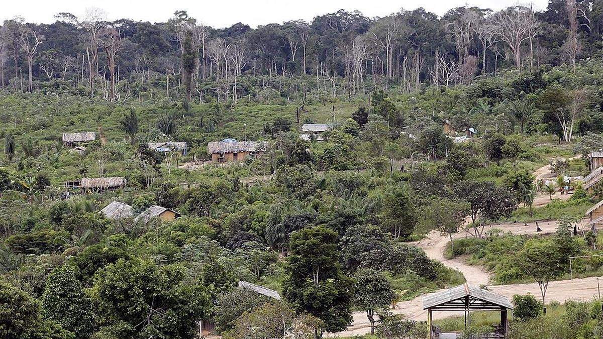 ie brasilianische Regierung will einem Medienbericht zufolge die Öl- und Gasförderung sowie den Staudamm-Bau in den Gebieten der Ureinwohner legalisieren