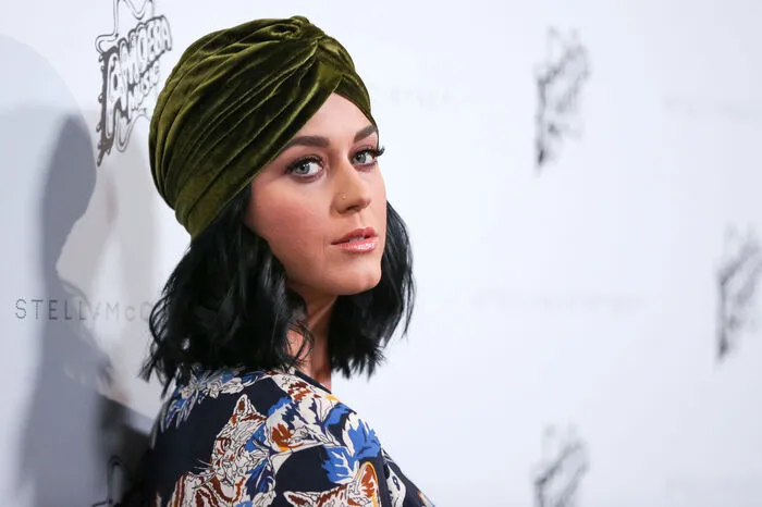 Sängerin und Clinton-Unterstützerin Katy Perry (31) twitterte fleißig während der Debatte. Zu einem Foto von ihrem Arm mit Gänsehaut schrieb sie: "Hillary Clinton". Zur Performance von Trump meinte Perry: "Es ist als sehe man einem Frosch dabei zu, wie er im Wasser sitzt, das langsam zum Kochen gebracht wird."