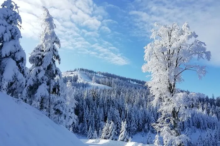 Fischbach im Schnee II.