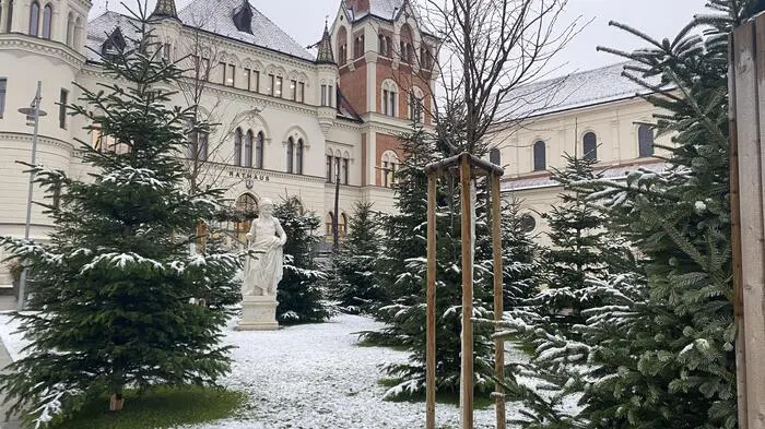 Zart aber doch: Über Nacht sind die ersten Schneeflocken gefallen. Das Rathaus in Feldbach präsentierte sich heute Morgen leicht angezuckert