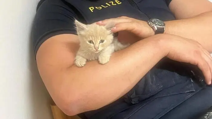 Inspektor Hakan Kahraman rettete das kleine Babykätzchen.