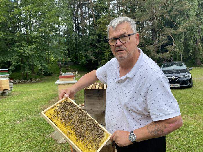 Franz Primig ist Obmann des Bienenzuchtvereins in Villach
