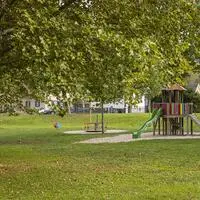 Die Pläne für den kleinen Wald in Klagenfurt sorgen für Aufregung