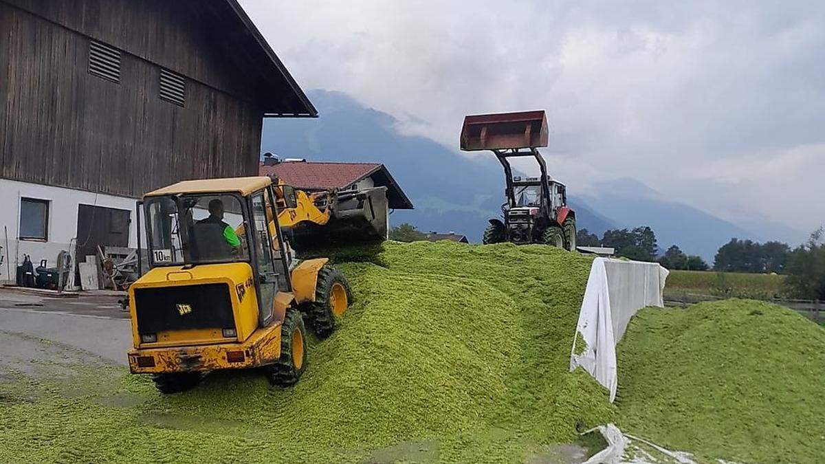 Die Maissilos der heimischen Bauern sind voll 