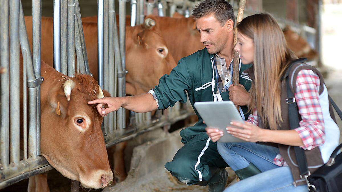 Die Digitalisierung hält überall in der Landwirtschaft Einzug