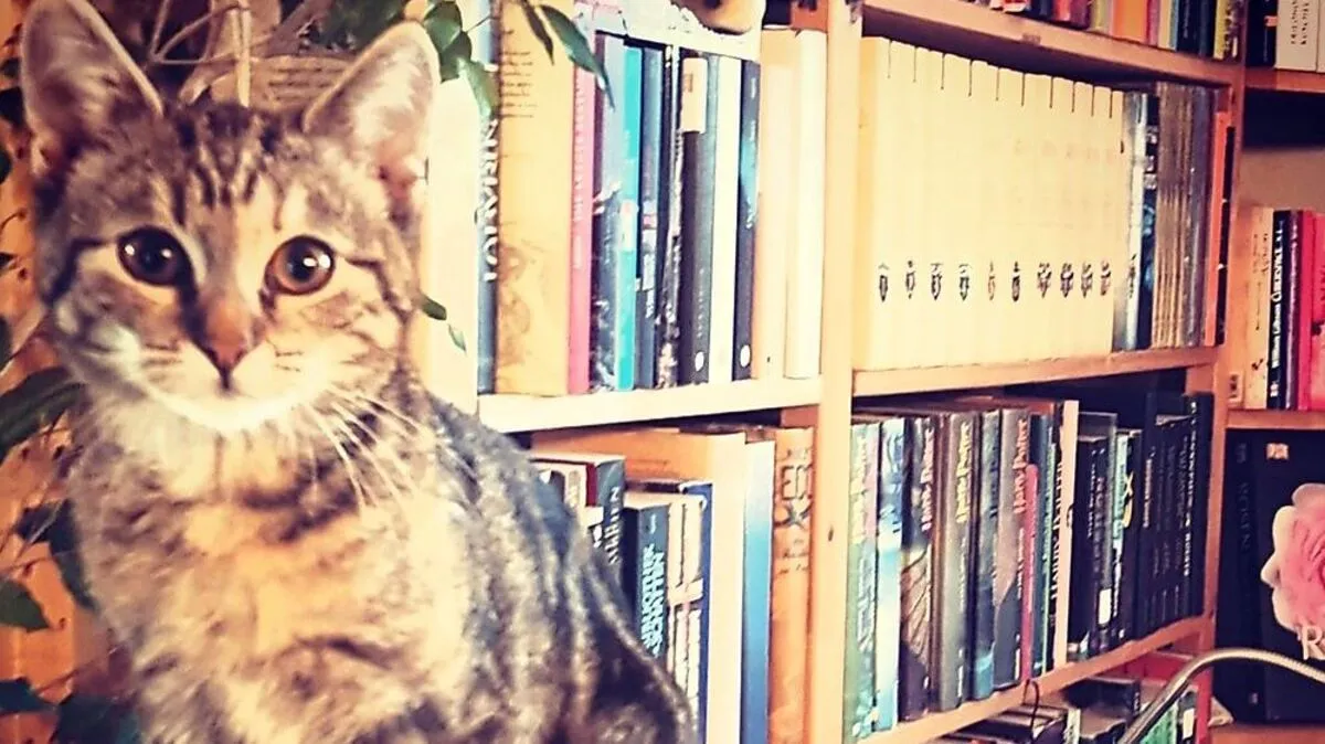 Leseratten aufgepasst!