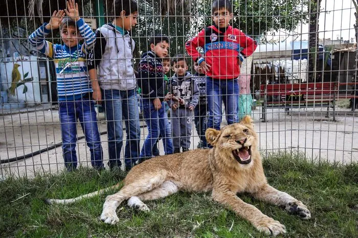 Die Tierschutzorganisation "Vier Pfoten" fordert nun die Schließung des Zoos.