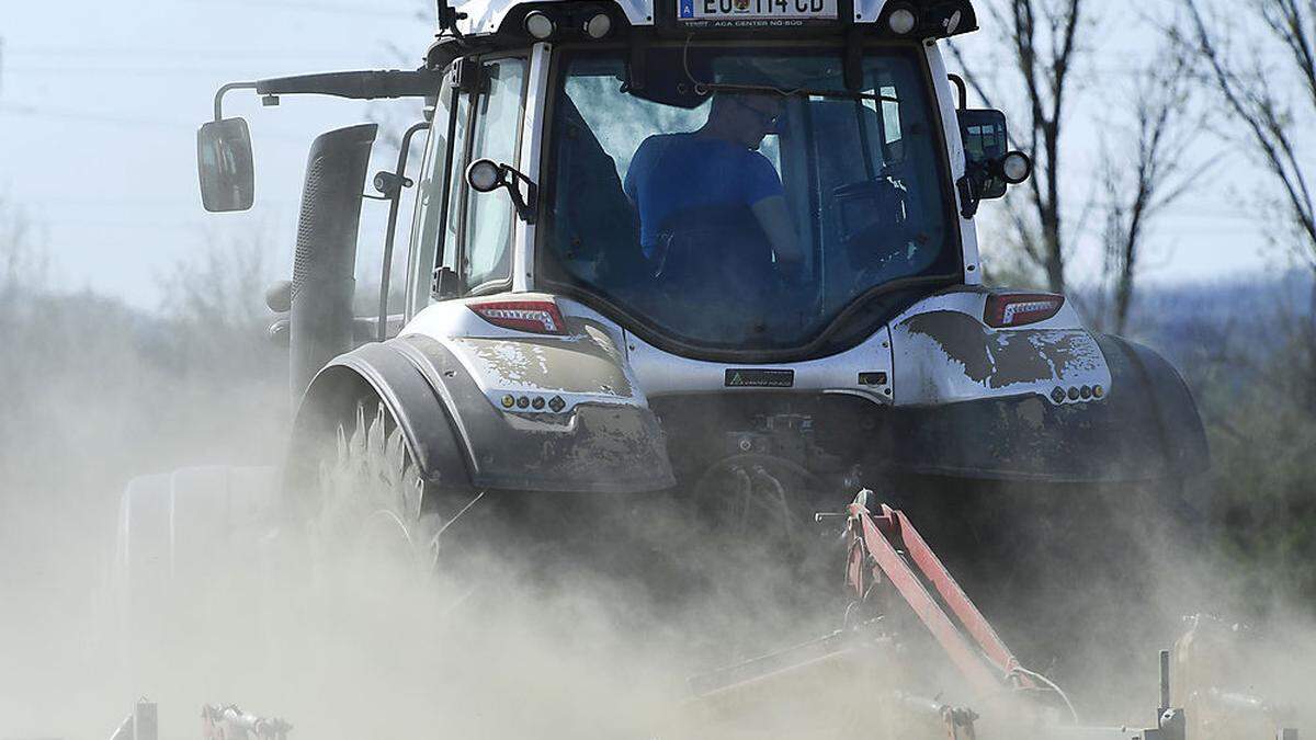 Die Trockenheit schadet der landwirtschaft 