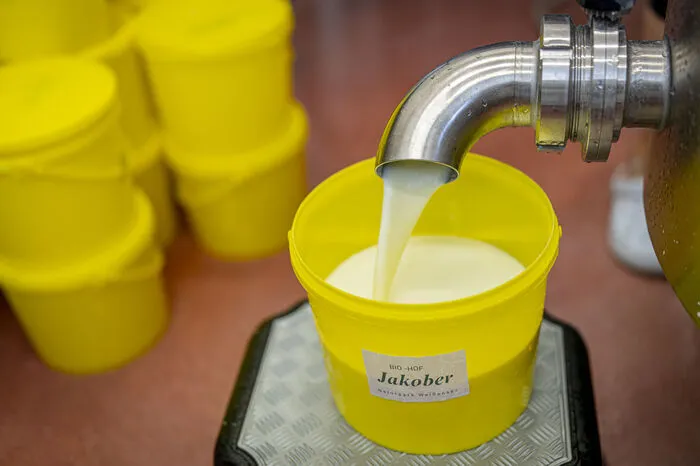 Die Bio-Heuwiesenmilch wird direkt am Betrieb – ohne Lagerung und Kühlung, frisch nach dem Melken, noch kuhwarm verarbeitet.