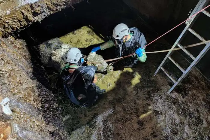 Die Stadtfeuerwehr Weiz sowie ein Bereichsfeuerwehrveterinär konnten die Tiere betäuben und unverletzt mittels Kranseilwinde befreien.