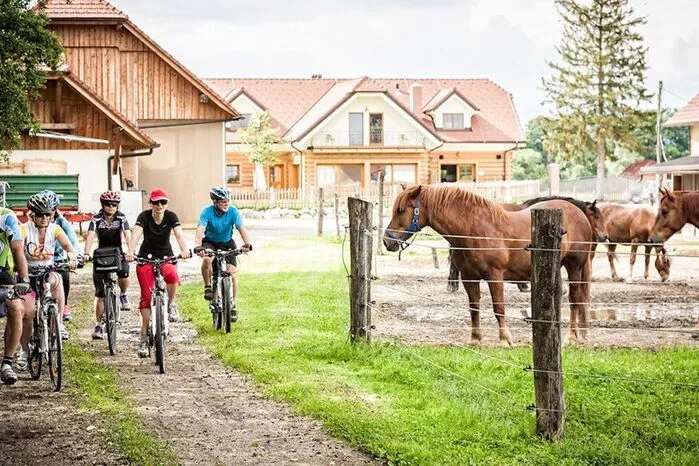 Sieben Kilometer von Laibach entfernt: das Landgut Trnulja.